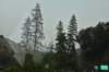 dsc_7531_fs_small.jpg