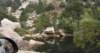 dsc_7569_fs_small.jpg