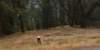 dsc_7578_fs_small.jpg