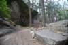dsc_7642_fs_small.jpg