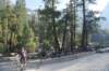 dsc_7680_fs_small.jpg