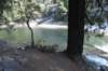 dsc_7693_fs_small.jpg