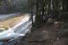 dsc_7696_fs_small.jpg