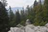 dsc_7739_fs_small.jpg