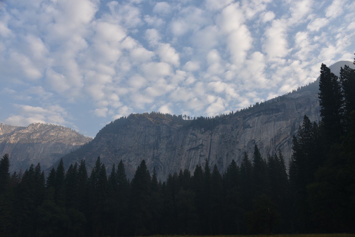 dsc_7850_fs.jpg
