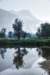 dsc_7936_fs_det_small.jpg