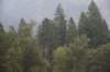 dsc_7960_fs_small.jpg