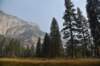 dsc_7975_fs_small.jpg