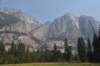 dsc_7984_fs_small.jpg
