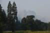 dsc_7987_fs_small.jpg
