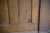 dsc_8013_fs_small.jpg