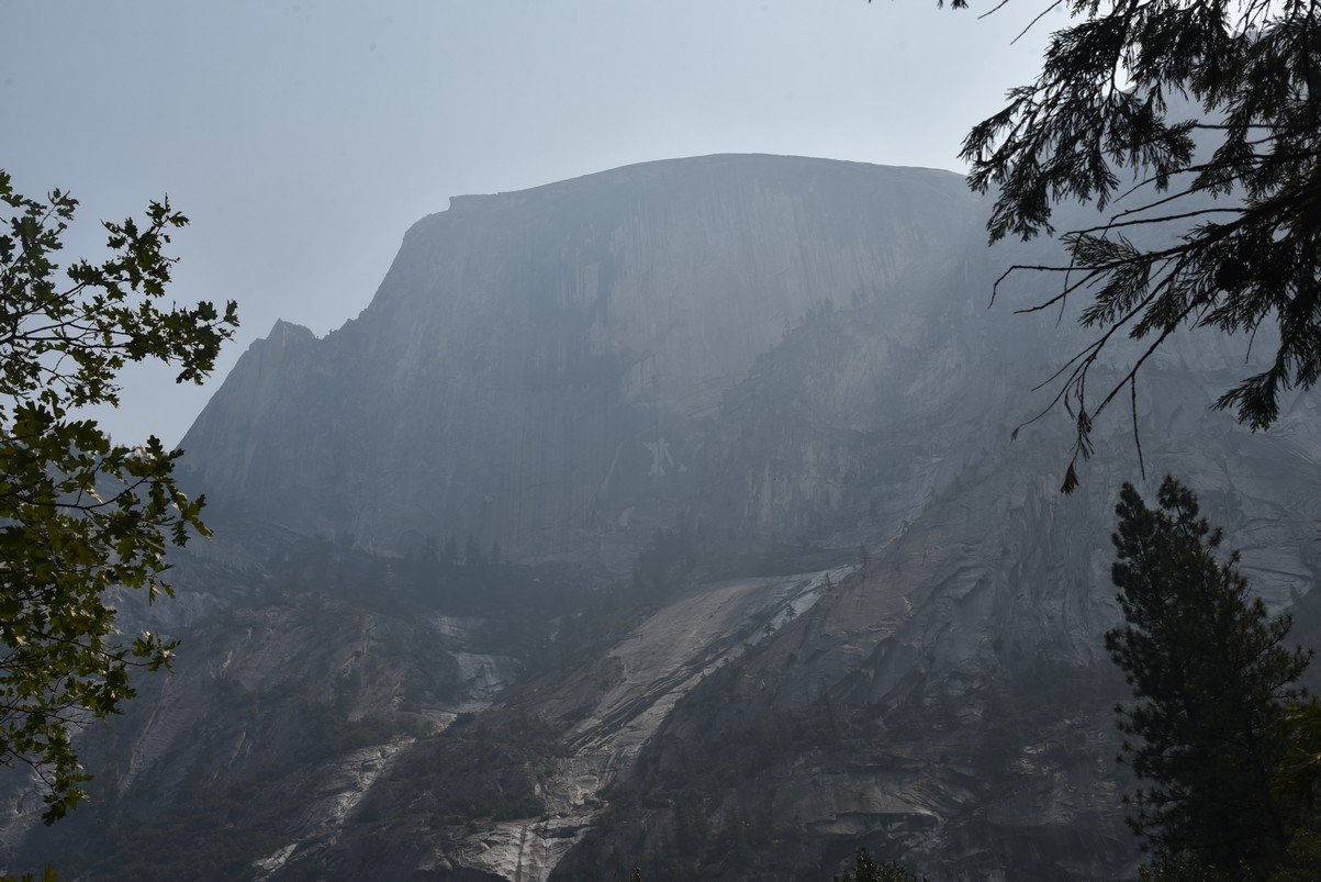 dsc_8080_fs.jpg