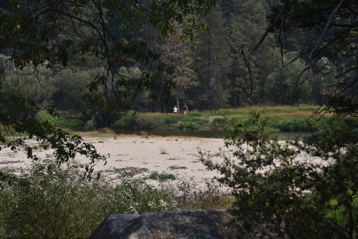 dsc_8089_fs.jpg