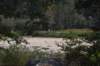 dsc_8089_fs_small.jpg