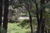 dsc_8090_fs_small.jpg