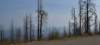 dsc_8303_fs_small.jpg