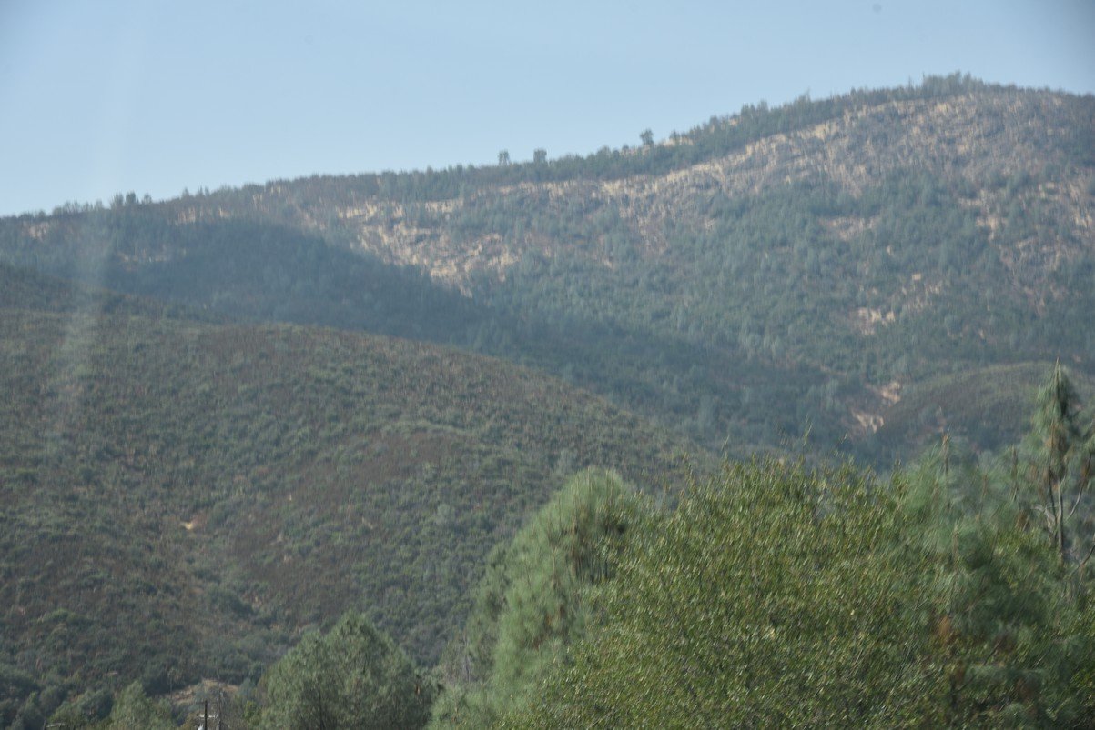 dsc_8344_fs.jpg
