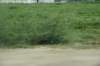 dsc_8370_fs_small.jpg