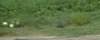 dsc_8371_fs_small.jpg