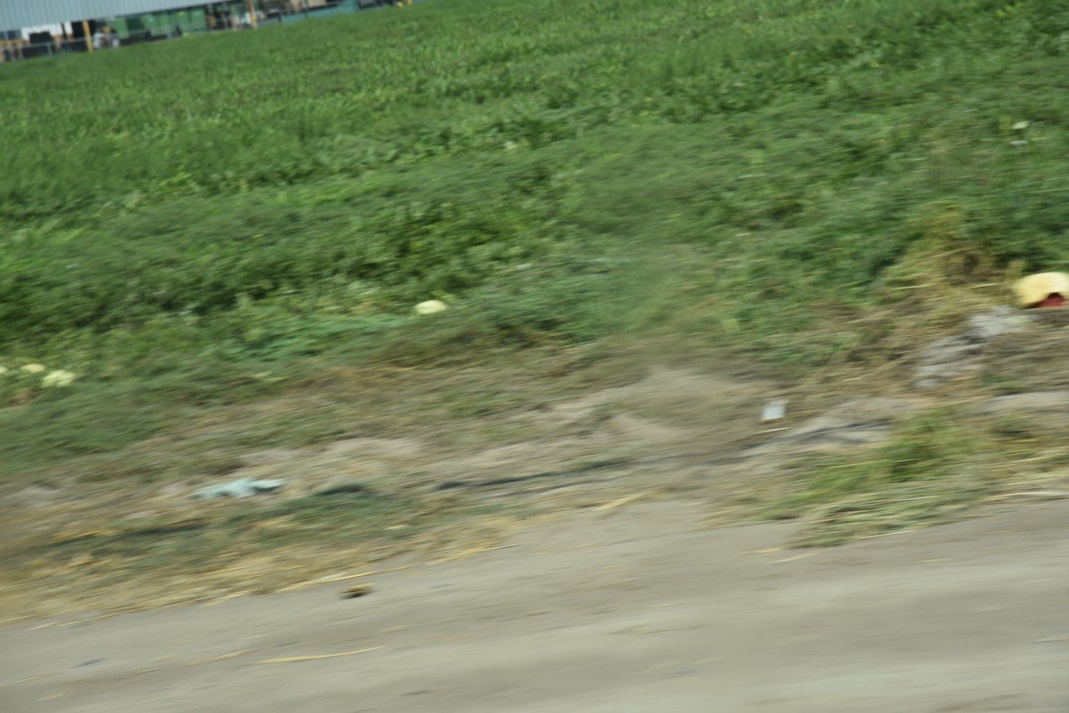 dsc_8372_fs.jpg