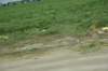 dsc_8372_fs_small.jpg