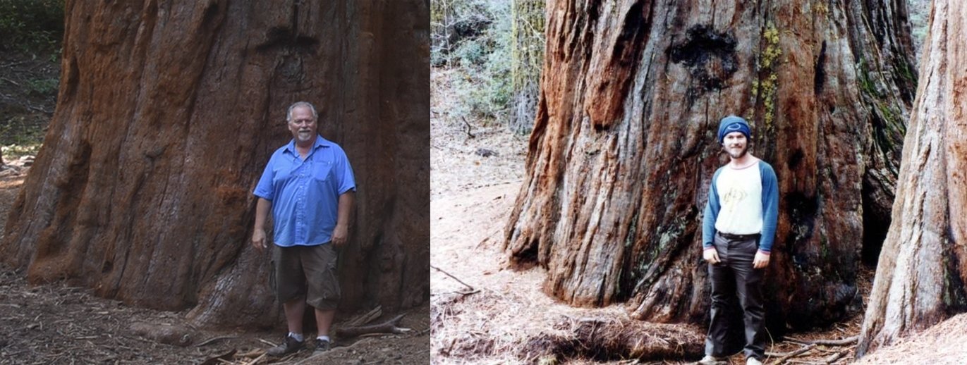mercergrove40yearsdifference.jpg