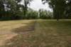 dsc_9244_fs_small.jpg