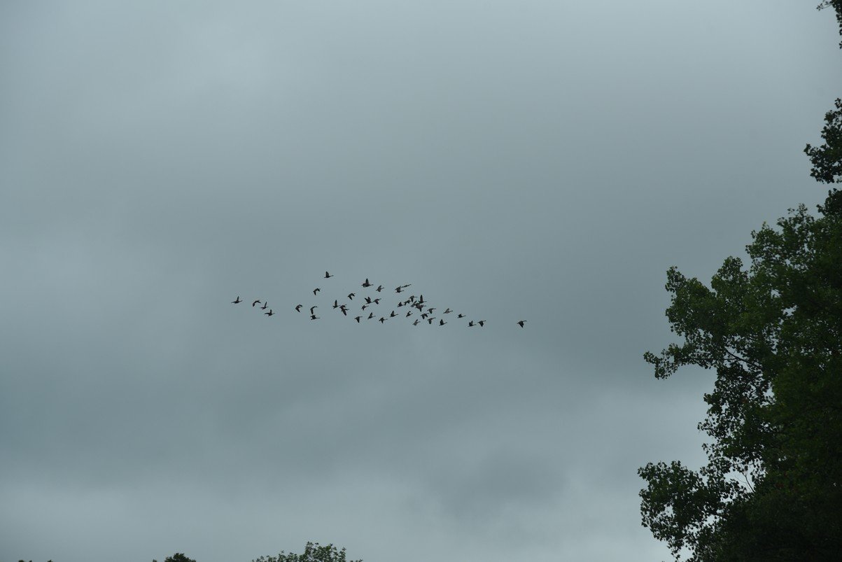 dsc_7086_fs.jpg