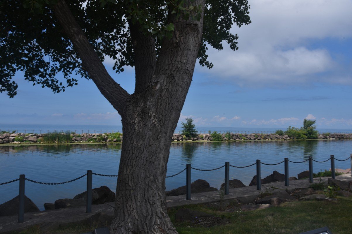 dsc_7120_fs.jpg