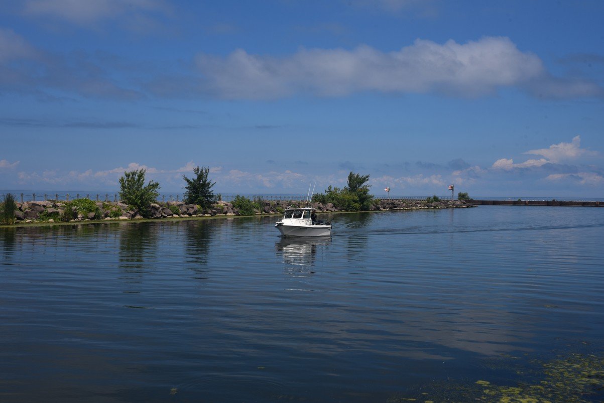 dsc_7134_fs.jpg