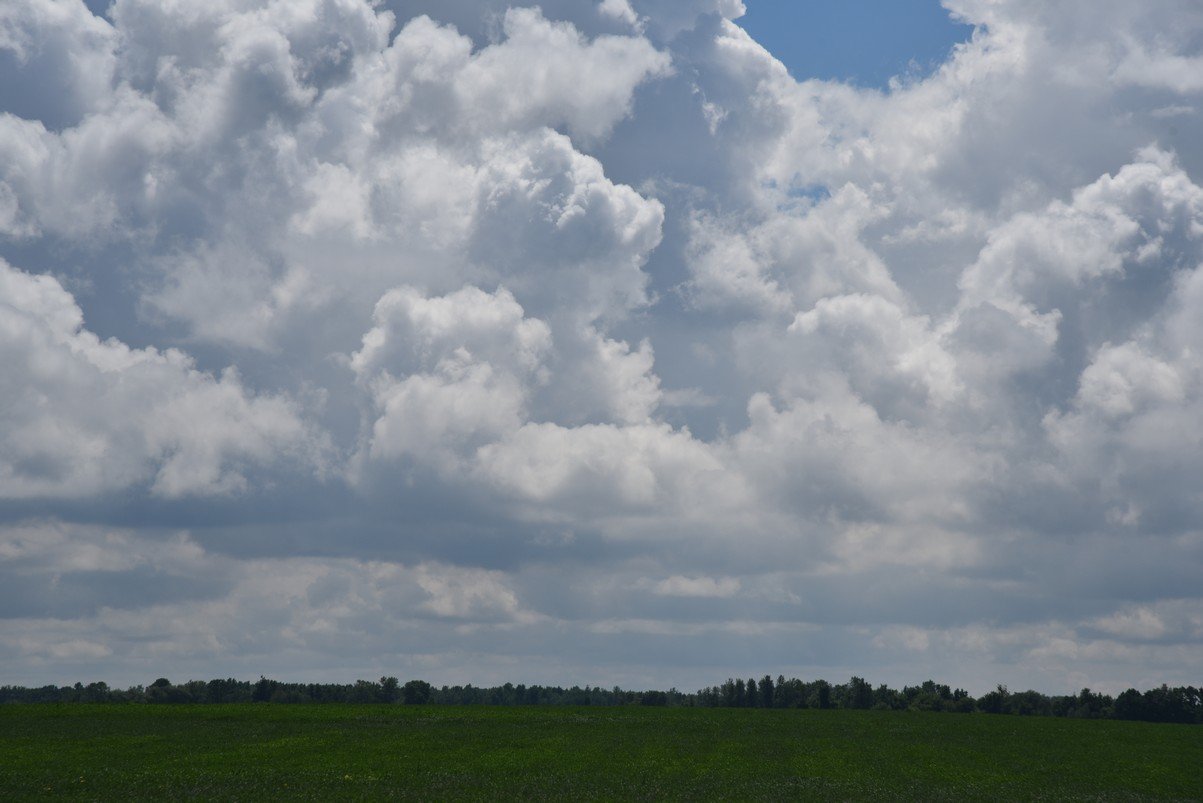 dsc_7154_fs.jpg