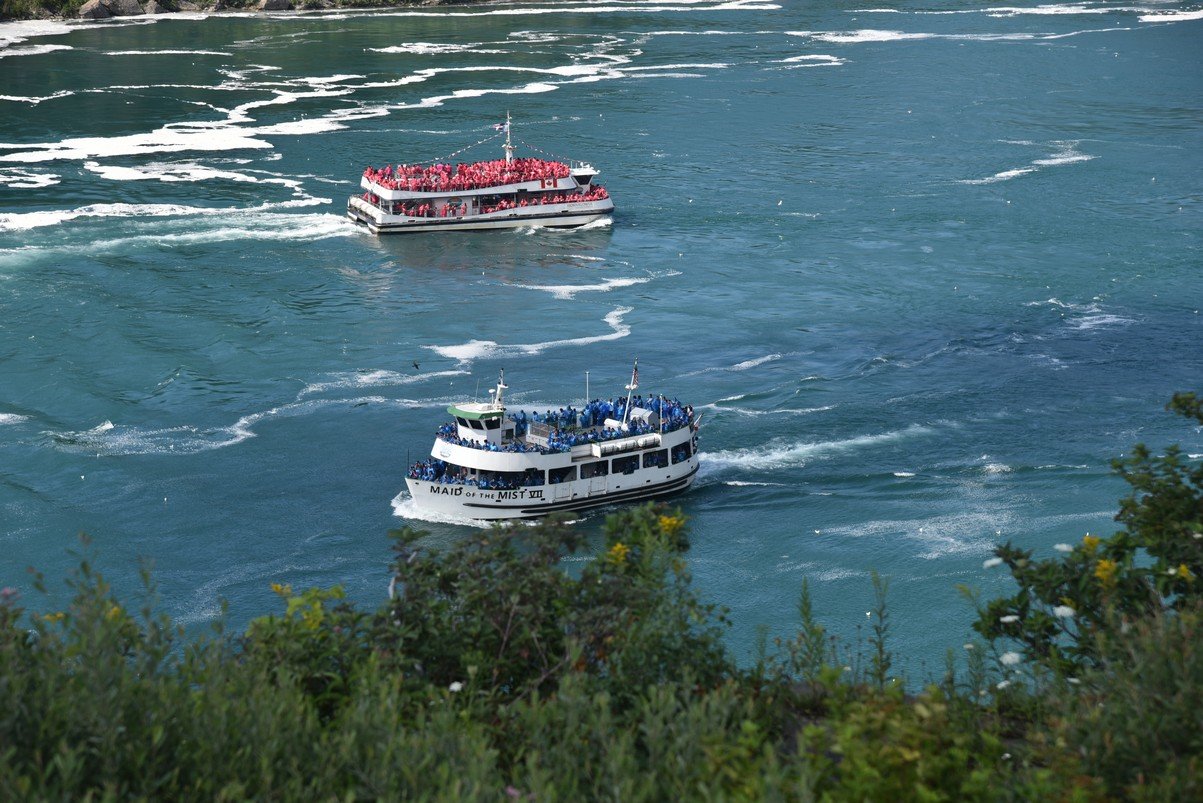 dsc_7228_fs.jpg