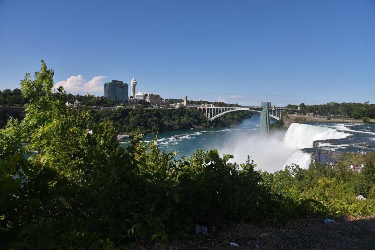 dsc_7234_fs.jpg
