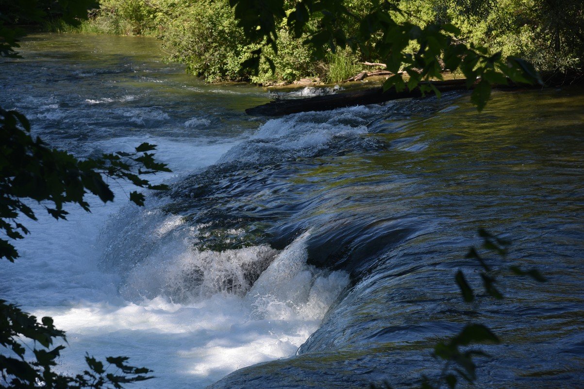 dsc_7246_fs.jpg