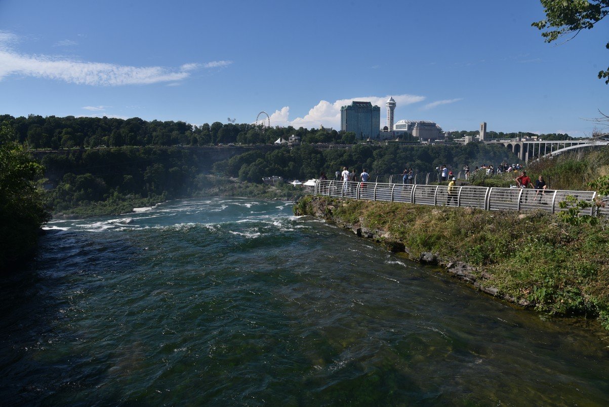 dsc_7252_fs.jpg