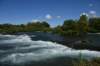 dsc_7260_fs_small.jpg