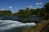 dsc_7261_fs_small.jpg