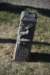 dsc_7303_fs_small.jpg