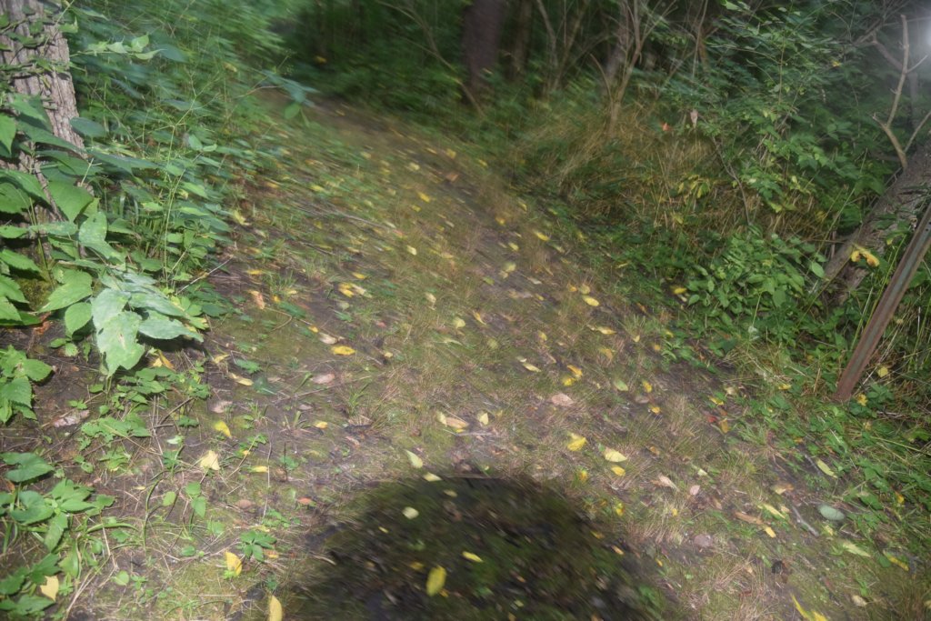 dsc_0599.jpg