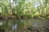 dsc_0610_small.jpg