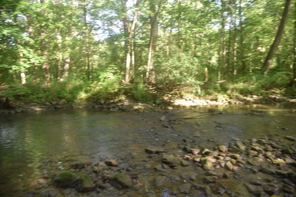 dsc_0611.jpg