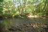 dsc_0611_small.jpg