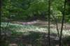 dsc_0615_small.jpg