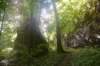 dsc_0626_small.jpg