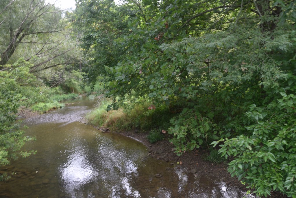 dsc_0628.jpg
