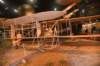 dsc_0668_small.jpg