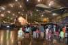 dsc_0817_small.jpg