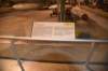 dsc_0831_small.jpg