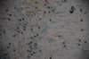 dsc_0954_small.jpg