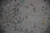 dsc_0955_small.jpg